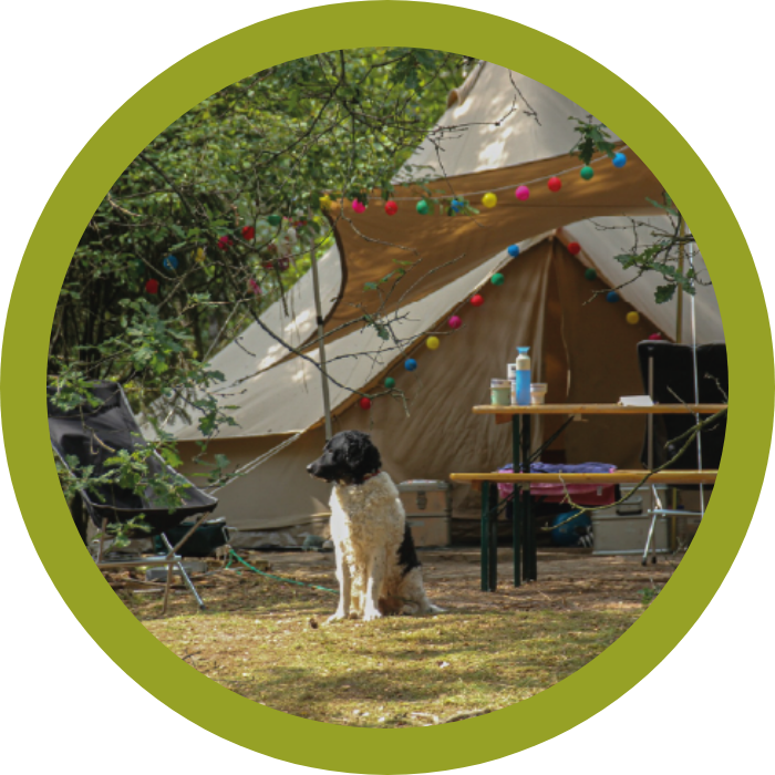 Theater Festival Groond