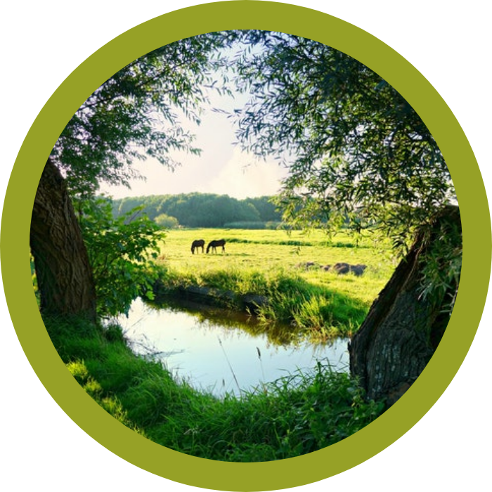 Theater Festival Groond Locatie Lutterzand